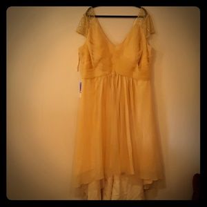Gold Tulle over Chiffon Dress